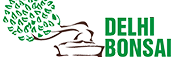 Delhibonsai.com logo