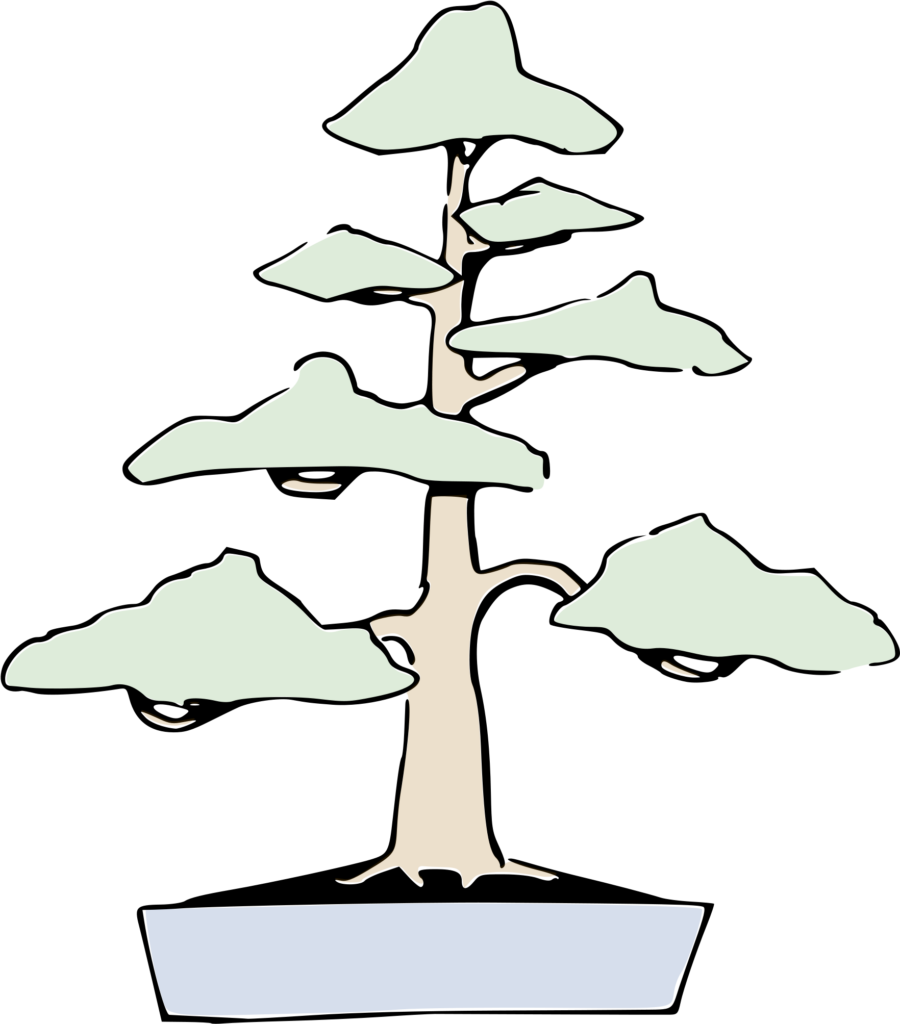 Formal Upright bonsai delhibonsai.com blog