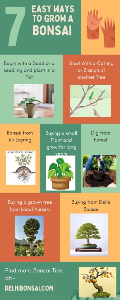 how to make bonsai