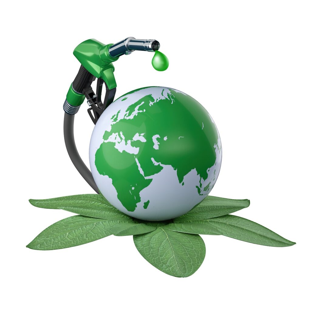 green energy, plant, bio-7754536.jpg