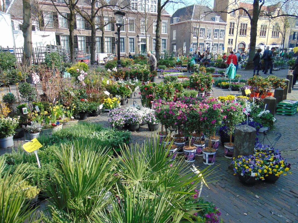 Botanical Gardens in NL