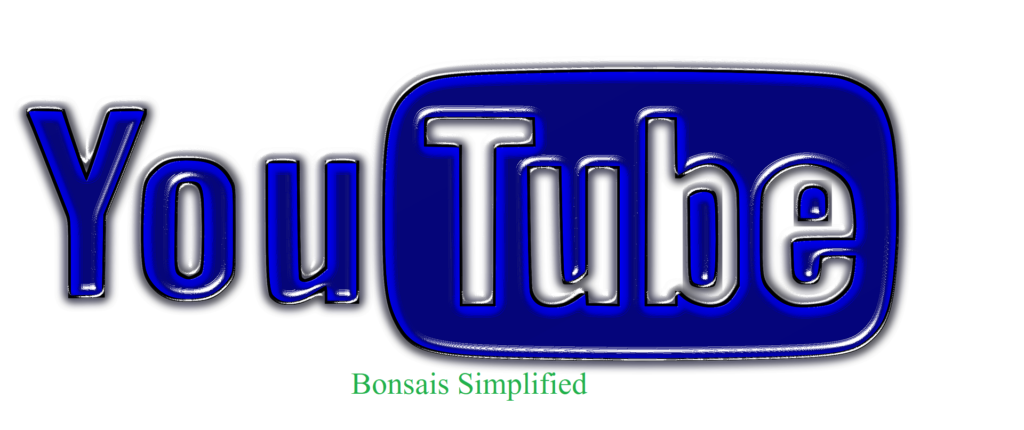 Youtube bonsai simplified