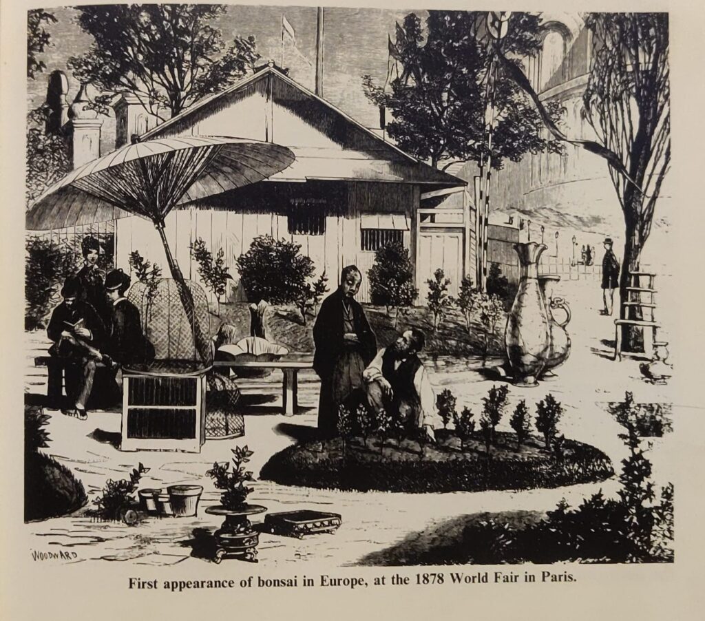 1878 world bonsai fair paris