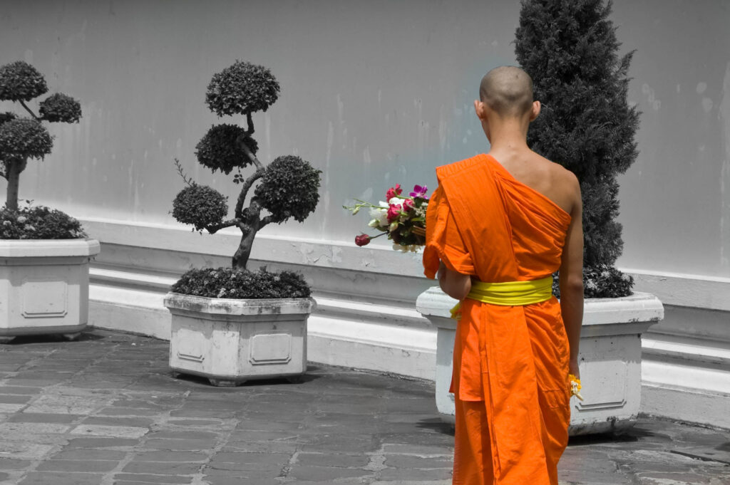 bhuddist monk with bonsai